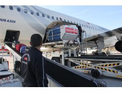 Üç Yaşında 1 Milyon Uçuşa Hizmet Verdi