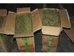 Gaziantep'te Uyuşturucu Ticareti Yapan 12 Kişi Tutuklandı