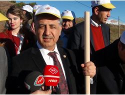 Şırnak’ta Ak Kadınlar Ormanı Oluşturuldu