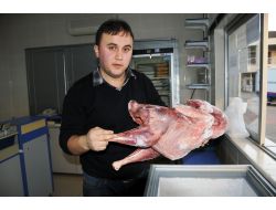 "Hindi Sadece Yılbaşında Değil Yılın Her Döneminde Tüketilmeli"