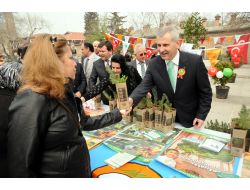 Orman Bölge Müdürü Coşkun: Yeni Yıla Ağaç Keserek Değil, Fidan Dikerek Girelim