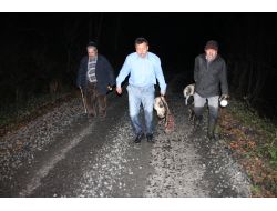 Köy Halkı Sabaha Kadar Tüfekle Çakal Ve Kurt Nöbeti Tuttu