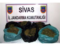 SİVAS'TA ESRAR OPERASYONU