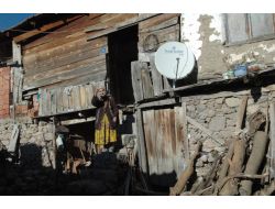 Sındırgı Belediyesi'nden Azize Nineye Destek