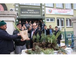 'Yeni Yılda Ağaç Kesme, Fidan Dik' Kampanyası