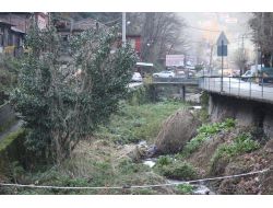 Derelerin Bakımsızlığı Tehlike Saçıyor