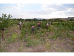 Ankara'da 1 Milyon Litre Kaçak Akaryakıt