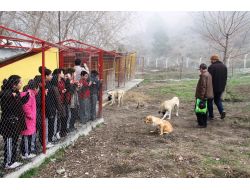 Öğrenciler Harçlıklarıyla Barınakta Kalan Hayvanlara Yem Aldı