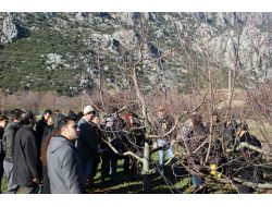 Meyvecilik Araştırma İstasyonu'ndan Budama Eğitimi