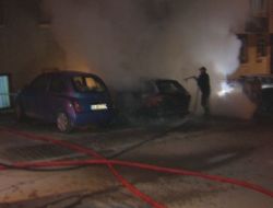 Park Halindeki Araç Alev Alev Yandı