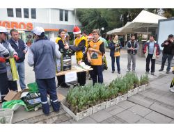 Yılbaşı İçin Ağaç Kesilmesin Diye Fidan Dağıttılar