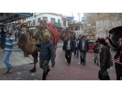 Pehlivan Develer Kuşadası Caddelerinde Dolaştırıldı