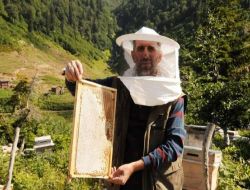 Japonların İstediği 20 Ton Balı Boz Ayılar 'yedi', Üreticilere Jandarma Da Çare Olamadı