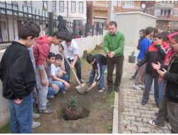 Meçhul Asker İlköğretim Okulu Öğrencileri Fidan Dikti