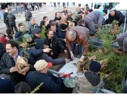 Edirne’de Vatandaşlar Yeni Yıla Fidan Dikerek Girecek
