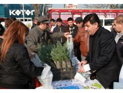 Bursa'da Yeni Yıl Öncesinde 15 Bin Fidan Dağıtıldı