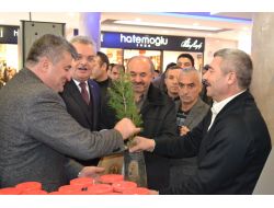 Fidanlık Müdürlüğü, Dikilmesi İçin 6 Bin Fidan Dağıttı