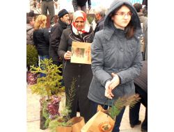 Keşan’da Vatandaşlara 2 Bin 400 Adet Fidan Dağıtıldı