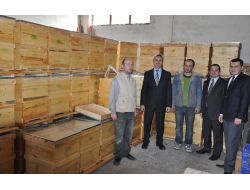 Gümüşhane’de Organik Arıcılığa Kovan Desteği