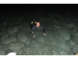 Dünya Rekortmeni, Yeni Yılda Denizde Girdi