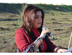 Ak Parti’li Bayanlar Yeni Yıla Fidan Dikerek Girdi