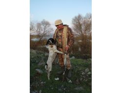 Avcıların Ayrılmaz Parçası Av Köpeği