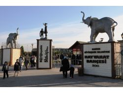 Yılbaşı Tatilinde Samsunlular Hayvanat Bahçesine Akın Etti