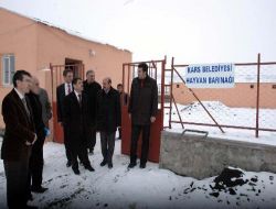 Belediye Tarafından Yapılan Hayvan Barınağı Faaliyete Geçti