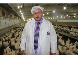 Hataylı Bakkallar, Yumurta Yasağına Tepkili