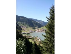 Uzungöl’ün Biyolojik Çeşitliliği Belirlendi