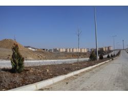 Çayda Çıra Mahallesi'nde Ağaçlandırma Çalışması