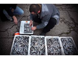 Türk Öğrenciler Hamsi Partisinde Horon Tepti