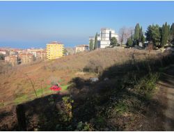 Islak Zeminde Kayan Araç Fındık Bahçesine Uçtu