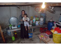 Ahırdan Dönme Baraka Evde Yaşayan Aileye Kaymakamlık Sahip Çıktı.