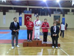 Gürsu’da Elde Edilen Başarılar Taekwondo Sporuna İlgiyi Artırdı