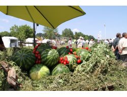 Kırsal Kalkınmaya 1 Milyar Euroluk Ab Desteği