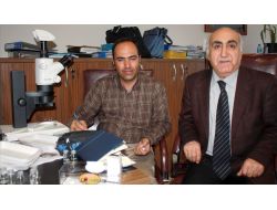 Biyolojik Mücadelede Kullanılabilecek 50 Yeni Böcek Türü Keşfedildi