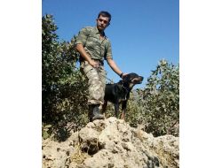 Şehit Er İsmail Akça'nın İsmi Kuşadası'nda Bir Sokağa Verilecek