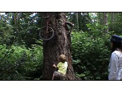 Bisiklet Yutan Ağacın Önünde Hayat Dersi!