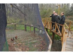 Vali Aksoy Eşiyle Birlikte, Çakırlar Korusu'nu Gezdi