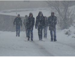 Bitlis’te Kar Yağışı Yeniden Etkili Oldu