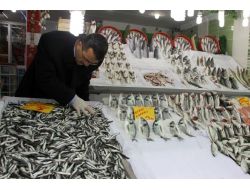 Çubuk’ta Balık Tezgahları Denetlendi