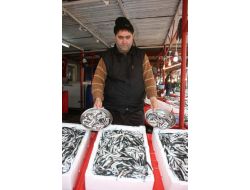 Giresun'da Hamsinin Fiyatı El Yakıyor