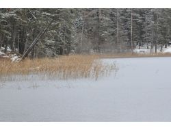 Abant Gölü Buz Tuttu