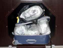 Bingöl'de 33 Kilo Esrar Ele Geçirildi