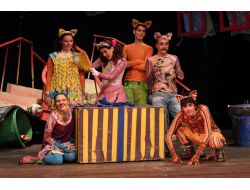 'Sokak Kedileri' Minik Hayranlarıyla Buluşuyor