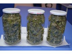 Burdur'da Uyuşturucu Operasyonu