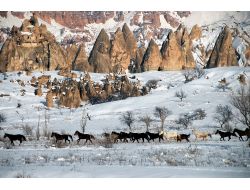 Kapadokya Kendi Rekorunu Kırdı