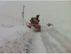 Bitlis’te Hayat Durma Noktasına Geldi