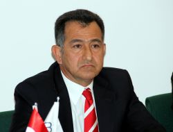 Çalı: 2013 Yılı Zeytin İçin Patlama Yılı Olacak